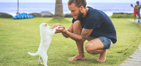 Reasons Why It’s Awesome to Get a Tattoo